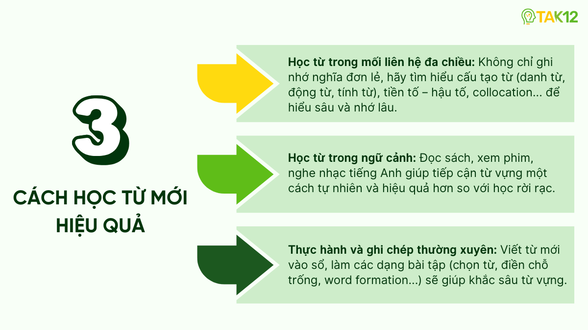 Cách học từ mới